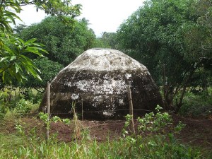 Mystery structure in jungle
