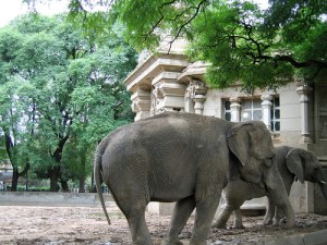 Buenos Aires Zoo